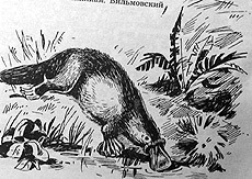 Сборник "Приключения Томека на разных континентах". Компиляция. кн.1-5 - i_023.jpg