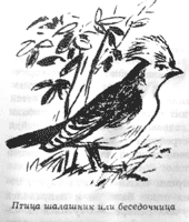 Сборник "Приключения Томека на разных континентах".Компиляция. кн. 6-8 - i_002.png