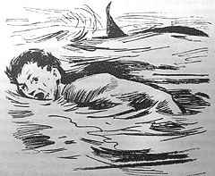 Сборник "Приключения Томека на разных континентах".Компиляция. кн. 6-8 - i_014.png