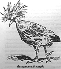 Сборник "Приключения Томека на разных континентах".Компиляция. кн. 6-8 - i_041.png