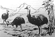 Сборник "Приключения Томека на разных континентах".Компиляция. кн. 6-8 - i_044.png