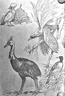 Сборник "Приключения Томека на разных континентах".Компиляция. кн. 6-8 - i_053.png