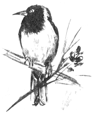 Сборник "Приключения Томека на разных континентах".Компиляция. кн. 6-8 - i_065.png