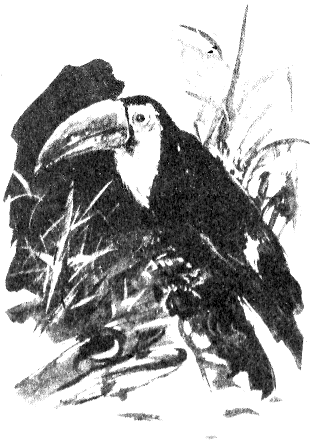 Сборник "Приключения Томека на разных континентах".Компиляция. кн. 6-8 - i_071.png