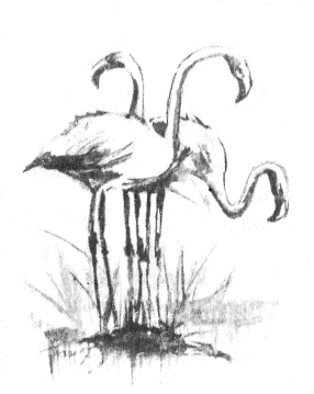 Сборник "Приключения Томека на разных континентах".Компиляция. кн. 6-8 - i_081.png