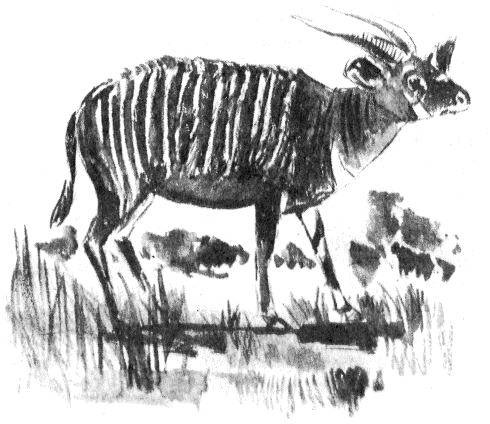 Сборник "Приключения Томека на разных континентах".Компиляция. кн. 6-8 - i_082.png