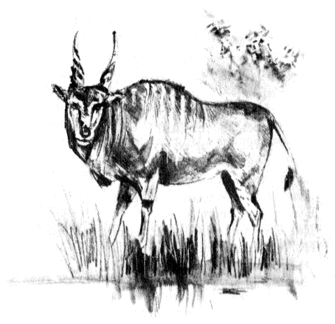 Сборник "Приключения Томека на разных континентах".Компиляция. кн. 6-8 - i_083.png