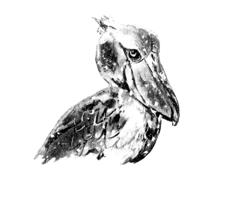 Сборник "Приключения Томека на разных континентах".Компиляция. кн. 6-8 - i_086.png