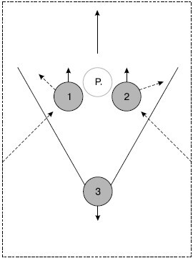 Вооруженная безопасность. Практическое руководство для сотрудников спецслужб - i_185.jpg