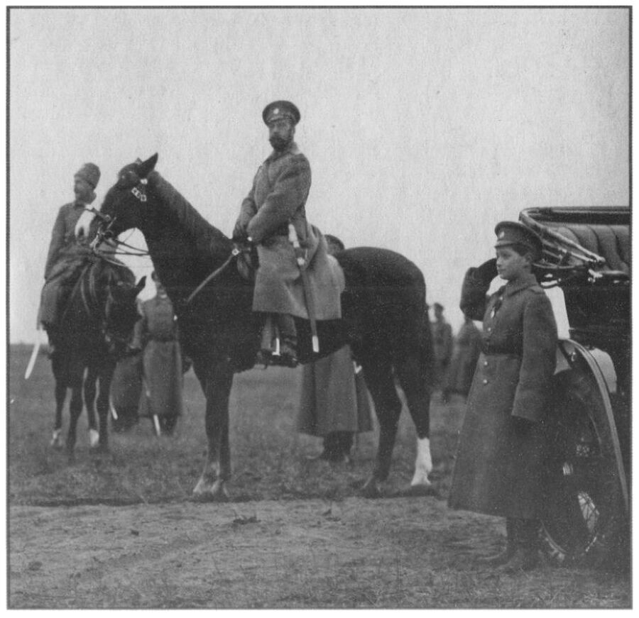 Роль России и Романовых в Великой Войне 1914-1918 гг. - i_013.jpg