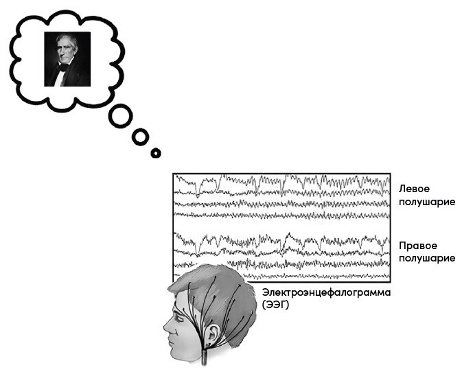 Всё решено: Жизнь без свободы воли - i_004.jpg