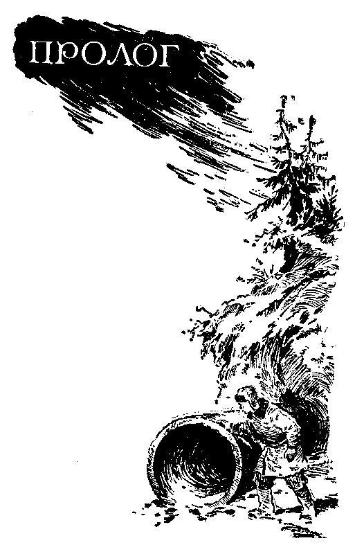 "Фантастика 2025-25". Компиляция. Книги 1-24 (СИ) - i_012.png