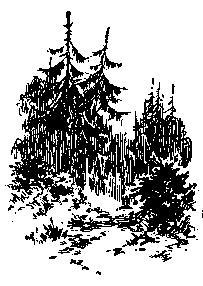 "Фантастика 2025-25". Компиляция. Книги 1-24 (СИ) - i_025.png