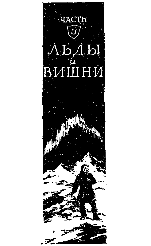 "Фантастика 2025-25". Компиляция. Книги 1-24 (СИ) - i_058.png