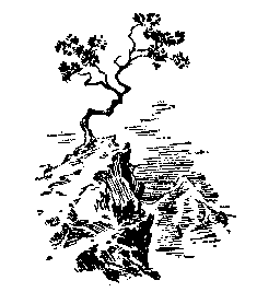 "Фантастика 2025-25". Компиляция. Книги 1-24 (СИ) - i_067.png