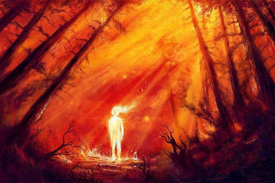 "Фантастика 2025-30". Компиляция. Книги 1-31 (СИ) - i_023.jpg