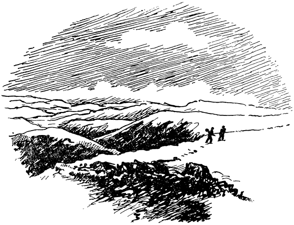 Муравей-жнец - i_002.png