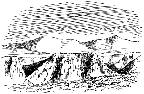 Муравей-жнец - i_007.png