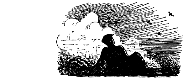 Муравей-жнец - i_015.png