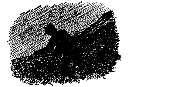 Муравей-жнец - i_017.png