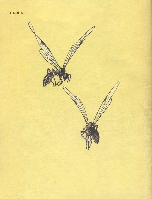 Муравей-жнец - i_028.jpg