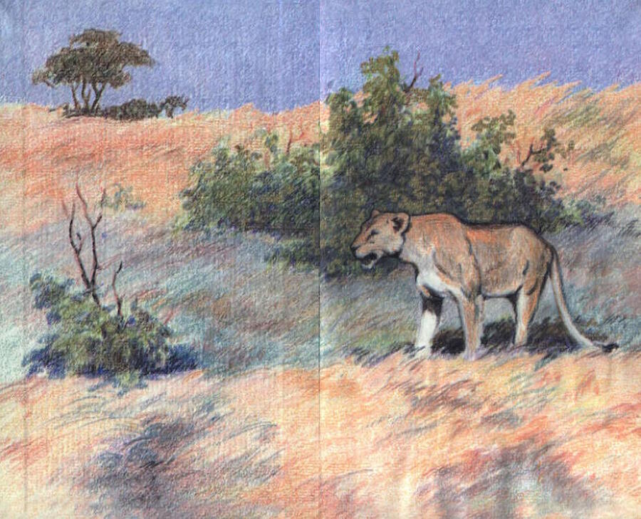 Китабу о животных - i_004.jpg