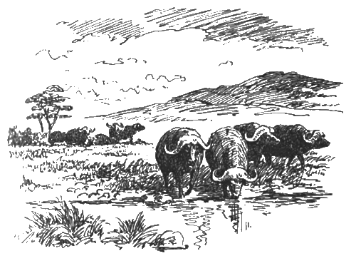 Китабу о животных - i_005.png