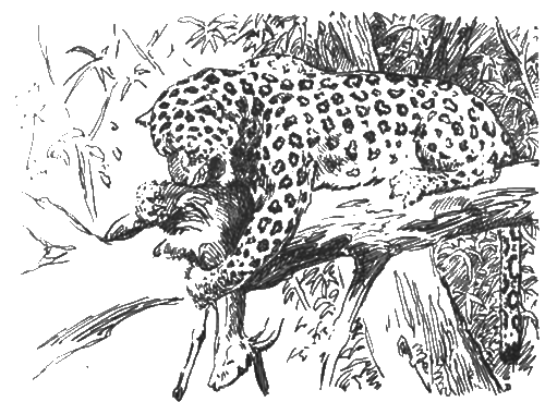 Китабу о животных - i_007.png