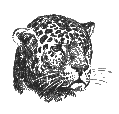 Китабу о животных - i_008.png