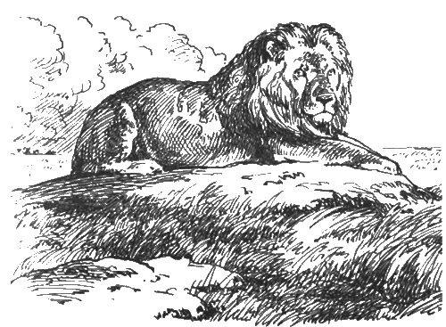 Китабу о животных - i_009.png