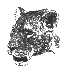 Китабу о животных - i_010.png