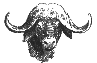 Китабу о животных - i_012.png