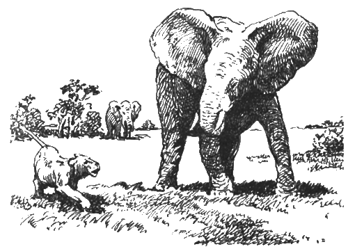 Китабу о животных - i_013.png