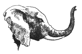 Китабу о животных - i_014.png