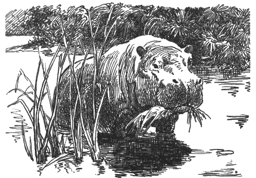 Китабу о животных - i_015.png