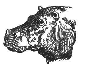 Китабу о животных - i_016.png