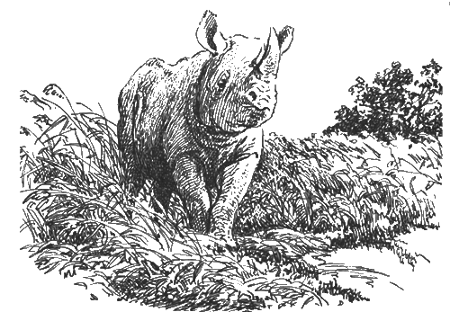 Китабу о животных - i_017.png