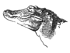 Китабу о животных - i_020.png