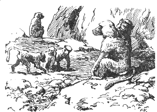 Китабу о животных - i_021.png