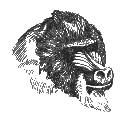 Китабу о животных - i_022.png