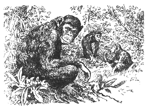 Китабу о животных - i_023.png