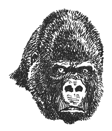 Китабу о животных - i_024.png