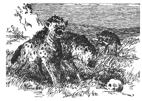 Китабу о животных - i_025.png