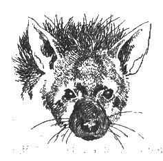 Китабу о животных - i_026.png