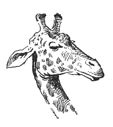 Китабу о животных - i_028.png