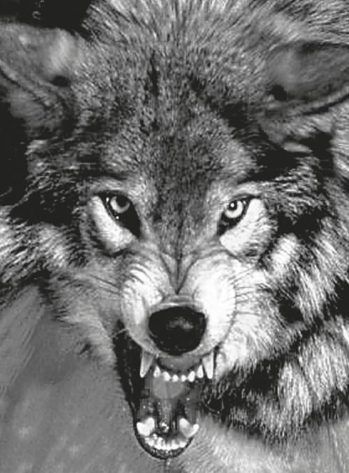 "Фантастика 2025-32". Компиляция. Книги 1-36 (СИ) - i_009.jpg