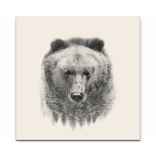 "Фантастика 2025-45". Компиляция. Книги 1-16 (СИ) - i_027.jpg