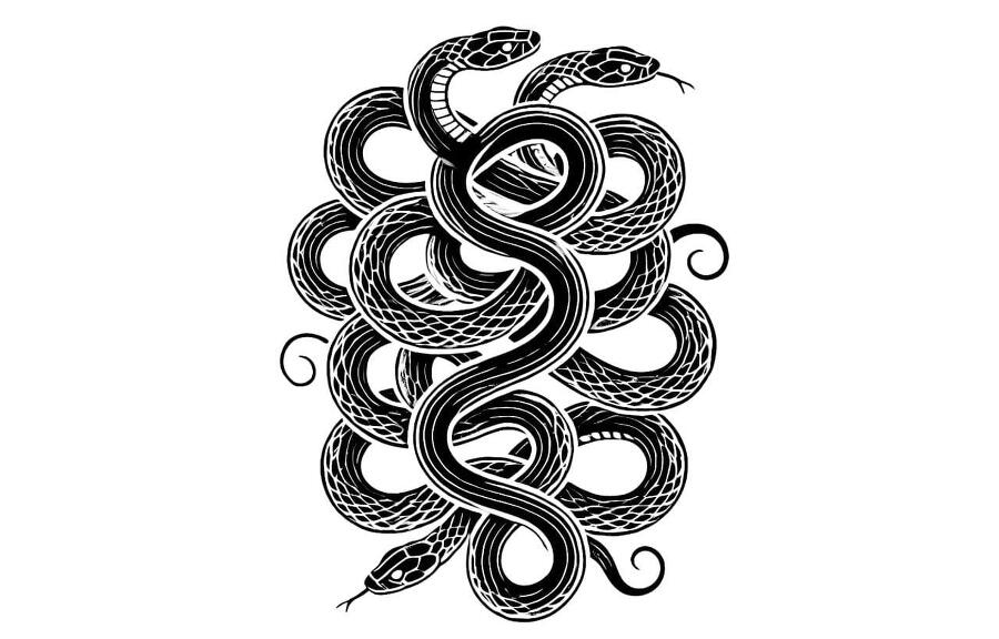 Железная Воля (СИ) - img34.jpg