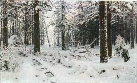 Государственный Русский музей. Выпуск 8. Набор открыток - image7.jpg