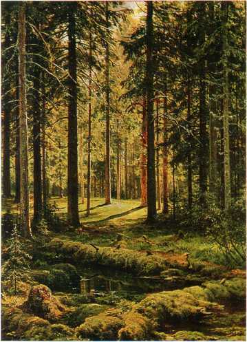 Государственный Русский музей. Выпуск 6. Набор открыток - image10.jpg